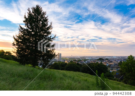 東京都多摩市 聖蹟桜ヶ丘、夕暮れの桜ヶ丘公園、ゆうひの丘 94442308