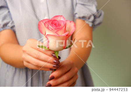 Woman in blue dress holding delicate pink Rose Flower in Hands. Closeup woman hands with white manicure holding delicate pink rose flower, selective focus Woman in blue dress holding delicate pink Rose Flower in Hands. Closeup woman hands with white manicure holding delicate pink rose flower, selective focus 94447253