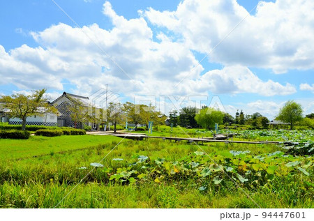 備中高松城跡 94447601