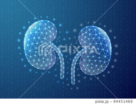 Kidneys polygonal symbol with binary code background. Urinary concept design illustration. Blue Organ anatomy low poly symbol with connected dots 94451469