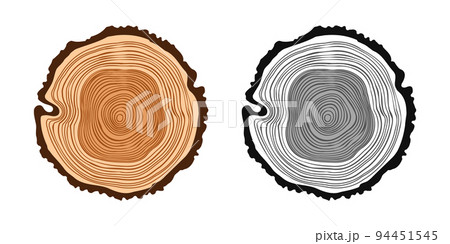 Round tree trunk cuts in various colors, sawn pine or oak slices, lumber. Saw cut timber, wood. Brown wooden texture with tree rings. Hand drawn sketch. Vector illustration 94451545