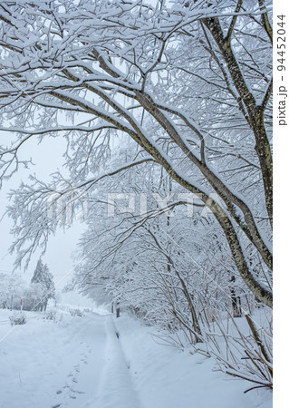 雪道・アイスバーン (蒜山高原) 雪道・アイスバーン (蒜山高原) 94452044