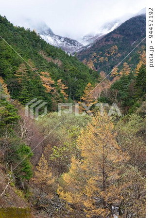 南アルプス 北岳登山 秋の紅葉ルート 南アルプス 北岳登山 秋の紅葉ルート 94452192