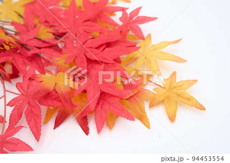 紅葉とコピースペース 94453554