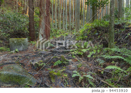 天石立神社　奥へと続く山道 94453910