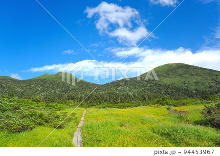 八甲田毛無岱からの景色 八甲田毛無岱からの景色 94453967