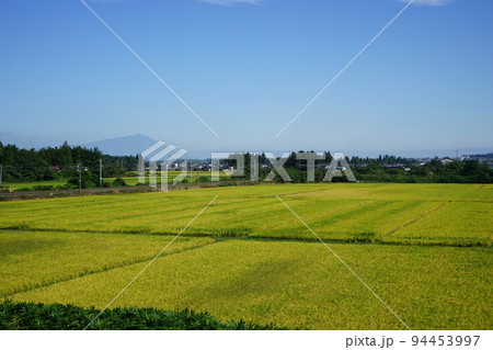 水田地帯を走る東北本線 94453997
