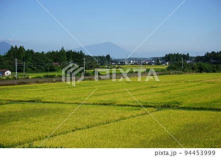 水田地帯を走る東北本線 94453999