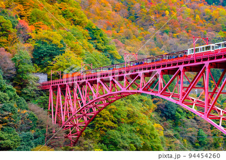 黒部峡谷（秋） 94454260