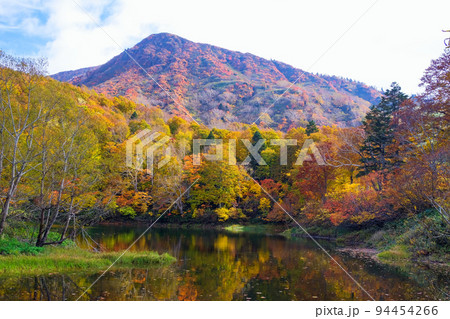 紅葉の森と三宝荒神山 紅葉の森と三宝荒神山 94454266