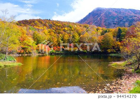 紅葉の森と片貝沼 94454270