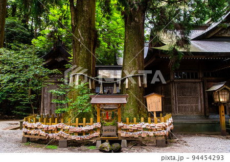 宮崎県 高千穂神社 ~夫婦杉~ 宮崎県 高千穂神社 ~夫婦杉~ 94454293