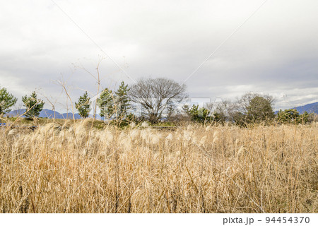 足柄上郡平原の風景 94454370