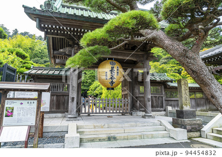 【神奈川県】緑に包まれた長谷寺の山門と金色提灯 【神奈川県】緑に包まれた長谷寺の山門と金色提灯 94454832