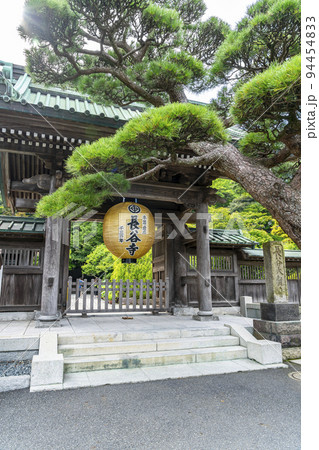 【神奈川県】緑に包まれた長谷寺の山門と金色提灯 【神奈川県】緑に包まれた長谷寺の山門と金色提灯 94454833