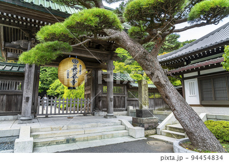 【神奈川県】緑に包まれた長谷寺の山門と金色提灯 【神奈川県】緑に包まれた長谷寺の山門と金色提灯 94454834