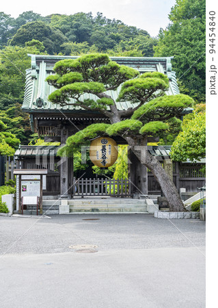 【神奈川県】緑に包まれた長谷寺の山門と金色提灯 94454840