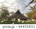 古民家と冬の花、水仙の風景-6 94455631