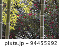 若竹と山茶花咲く冬風景-3 94455992
