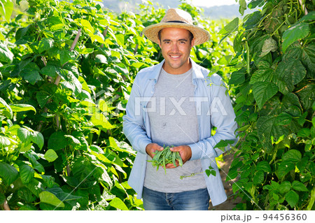 Happy farmer with beans harvest on th field 94456360
