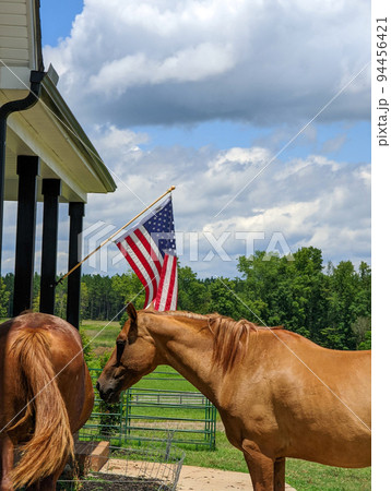 two horses and american flag with cloudy sky 94456421