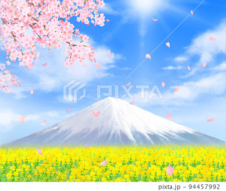 華やかな桜の花と菜の花畑ー光差し込む青空ー富士山の映えるフレーム背景素材イラスト 94457992
