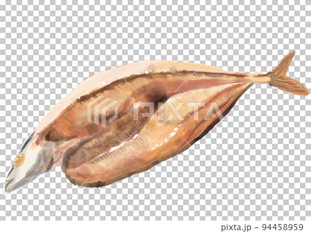 Hand-painted grilled saury 02 Hand-painted grilled saury 02 94458959