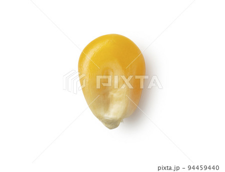 乾燥とうもろこし 94459440