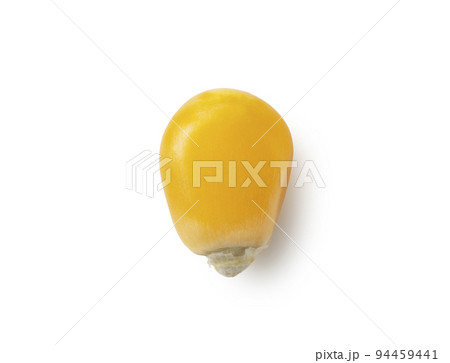 乾燥とうもろこし 94459441