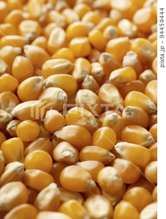 乾燥とうもろこし 94459444
