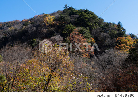 丹波山渓谷の紅葉 94459590