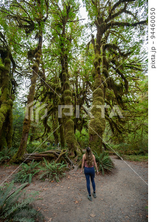Young woman on Hoh Rain Forest trail in Olympic National Park, Washington. Young woman on Hoh Rain Forest trail in Olympic National Park, Washington. 94460050