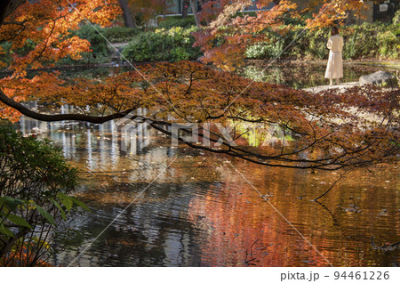 紅葉に染まる池 清水谷公園 秋 紅葉 東京都千代田区紀尾井町 紅葉に染まる池 清水谷公園 秋 紅葉 東京都千代田区紀尾井町 94461226