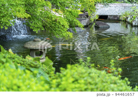 【神奈川県】緑に包まれた長谷寺の境内にある池 【神奈川県】緑に包まれた長谷寺の境内にある池 94461657