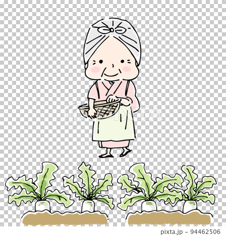 Old-fashioned grandmother who grows vegetables Old-fashioned grandmother who grows vegetables 94462506