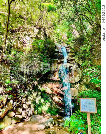 芦屋川の高座の滝 94462612