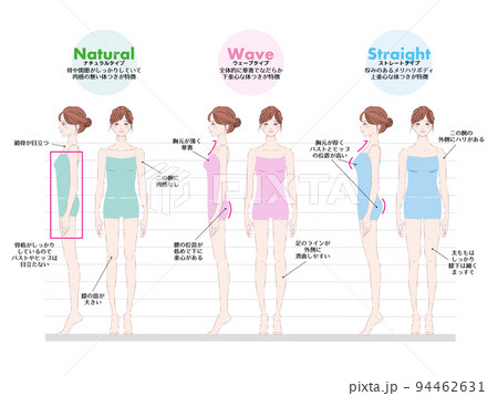 骨格診断イラスト 骨格診断イラスト 94462631