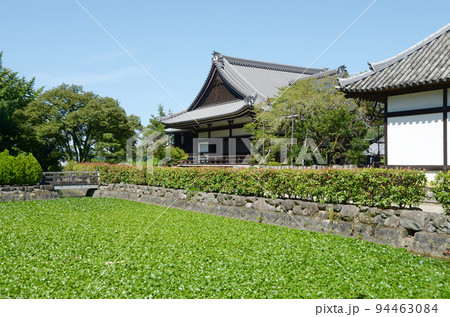 橘寺　本堂と放生池　奈良県明日香村橘 94463084