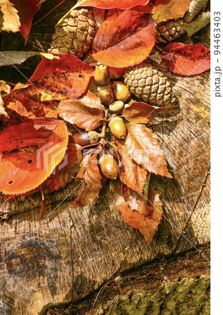 秋イメージの切り株の上に集められた紅葉した赤い葉や落ち葉とどんぐりとまつぼっくり 94463403