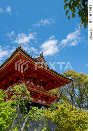 仁和寺 仁和寺 94467995