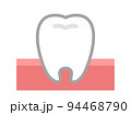 健康な歯と歯茎のイラスト 94468790