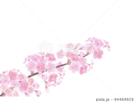 装飾背景-桜の枝 94469929