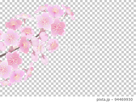 裝飾背景-櫻花枝向上 94469930