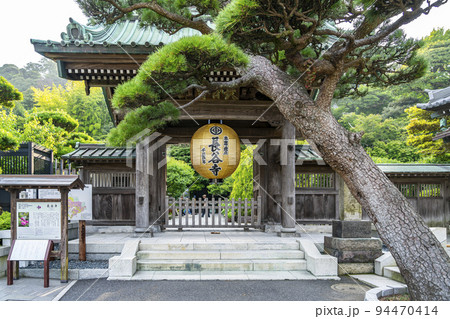 【神奈川県】緑に包まれた長谷寺の山門と金色提灯 94470414