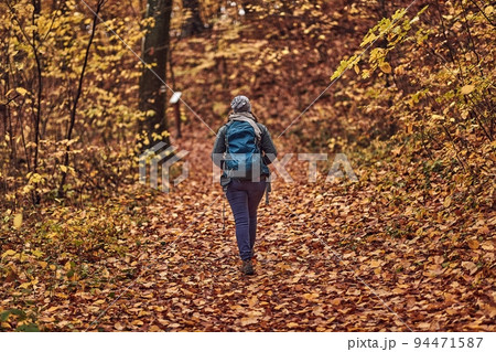 Autumn forest hiking path between trees 94471587