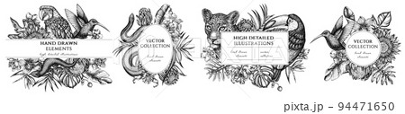 Tropical animals hand drawn frame templates. Vintage illustrations of leopard, snake, lizard, hummingbird, toucan, scarlet macaw, monstera, banana palm leaves, strelitzia, tropical palm leaves, orchid Tropical animals hand drawn frame templates. Vintage illustrations of leopard, snake, lizard, hummingbird, toucan, scarlet macaw, monstera, banana palm leaves, strelitzia, tropical palm leaves, orchid 94471650