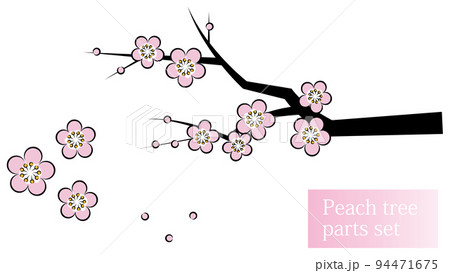 日本の植物 桃の花が咲き誇っている桃の木 和風のお洒落なイラスト パーツセット ベクター  94471675