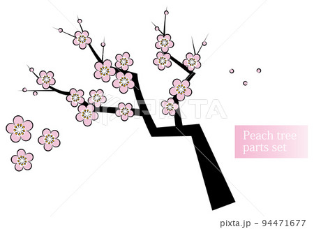 日本の植物 桃の花が咲き誇っている桃の木 和風のお洒落なイラスト パーツセット ベクター  94471677