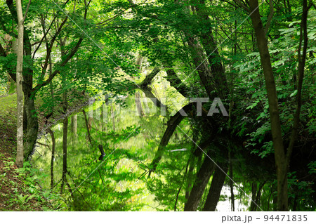 【北海道富良野市】鳥沼公園 【北海道富良野市】鳥沼公園 94471835