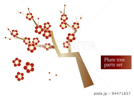 Japanese plants Plum blossoms blooming plum - Stock